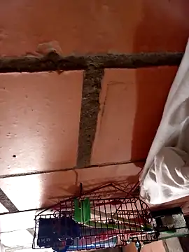 Jean18060 online show from February 2026 02:59:01 PM