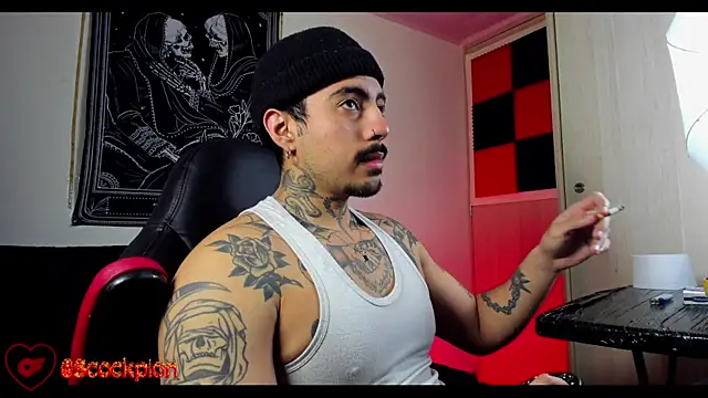 scockpion   online show from February 2026 08:32:01 AM