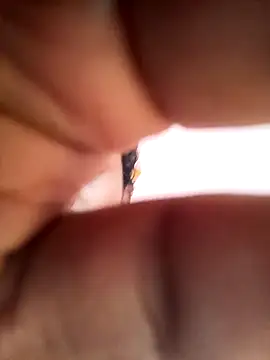 bigcock thick online show from March 2025 01:43:01 AM