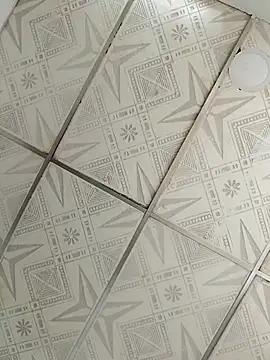 Snapshot of Niick01_ chatting on September 2025 05:03:02 PM Niick01 online show from September 2025 05:03:02 PM