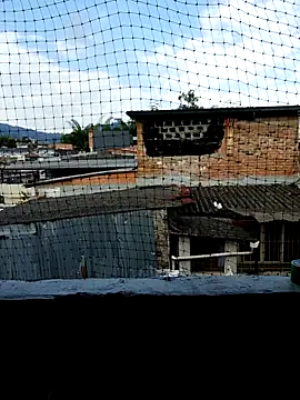 Snapshot of Niick01_ chatting on November 2025 08:40:02 PM Niick01 online show from November 2025 08:40:02 PM