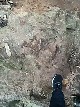 hotgirlpriya789 online show from October 2025 11:00:01 AM