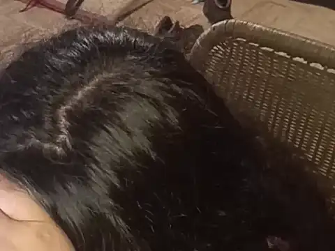 isabellapurple online show from March 2026 02:07:02 AM