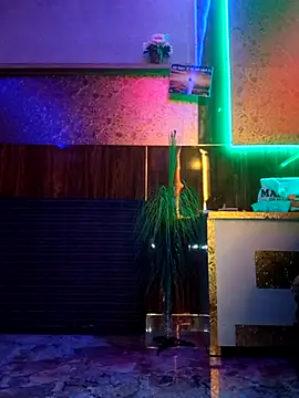 shnaz 1 online show from February 2025 10:54:01 AM