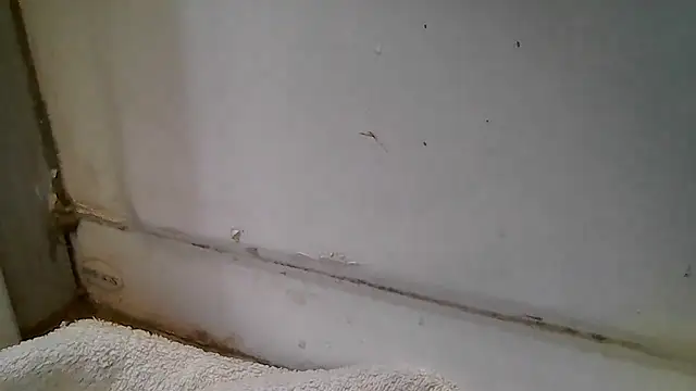 ShysluutGia online show from December 2025 11:47:01 AM