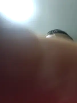 Pildorito19 online show from March 2026 03:04:01 PM