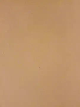 Bigdicklove42x online show from January 2026 04:50:02 AM