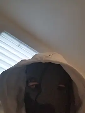 Bigdick420anal online show from February 2026 06:41:02 AM