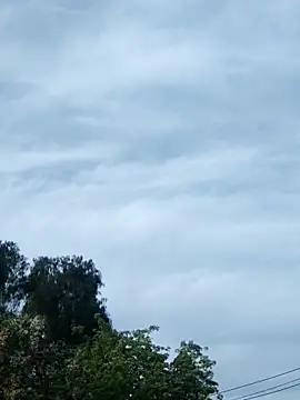 Snapshot of erinadarling79 chatting on October 2025 09:38:01 PM erinadarling79 online show from October 2025 09:38:01 PM