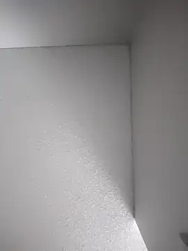 Vergadura590 online show from November 2025 06:58:02 AM