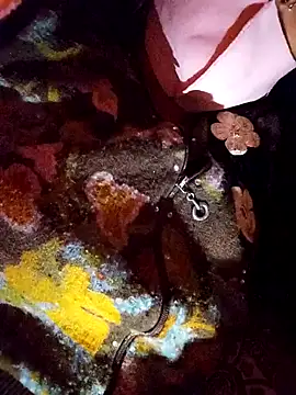 PPP 25 online show from November 2025 01:54:02 PM