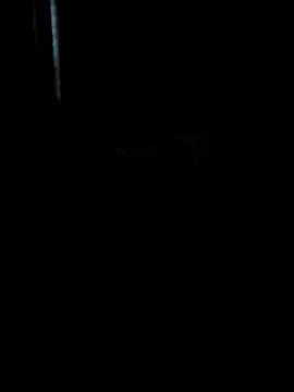 Ruanie online show from April 2026 07:03:02 AM