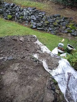 KingSlim56 online show from November 2025 08:16:01 PM