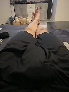 PainterHase online show from October 2025 04:40:01 PM