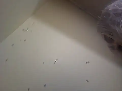 Snapshot of Louna45dv chatting on February 2025 08:14:02 PM Louna45dv online show from February 2025 08:14:02 PM