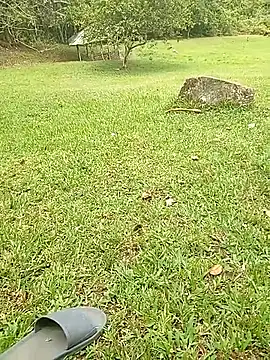 Snapshot of Mycansonhot chatting on October 2025 04:50:01 PM Mycansonhot online show from October 2025 04:50:01 PM