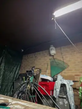 HTXBELLE online show from March 2026 01:23:01 AM