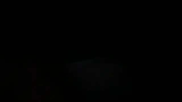 DominantDong online show from March 2025 05:46:01 AM