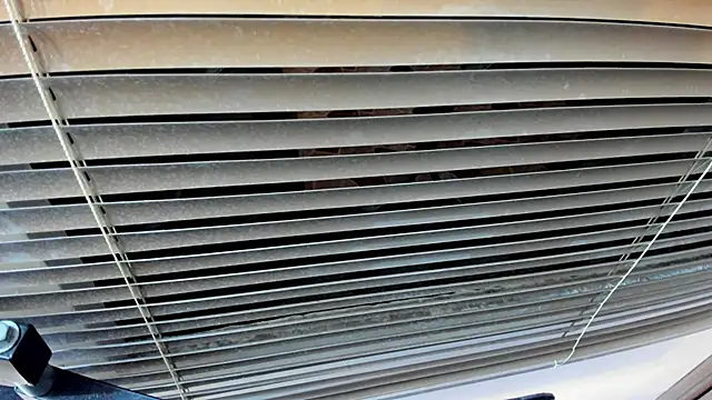 SaraClub JY online show from October 2025 10:43:02 PM