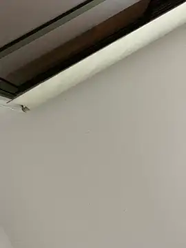 Snapshot of tu-bebitaa chatting on March 2025 07:02:01 AM tu-bebitaa online show from March 2025 07:02:01 AM