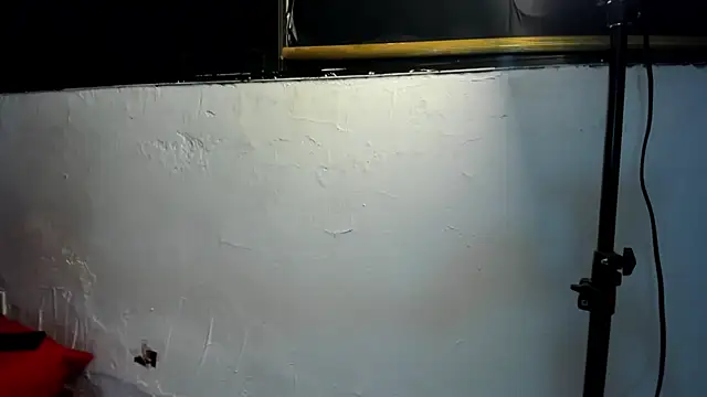 couple hotfox online show from December 2025 01:02:02 AM