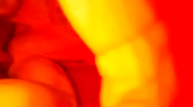 JCstrings online show from February 2025 07:43:02 PM