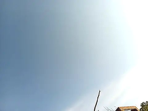 lilpip online show from November 2025 04:03:02 AM