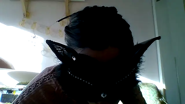 Snapshot of kittysissy chatting on February 2025 02:57:01 PM kittysissy online show from February 2025 02:57:01 PM