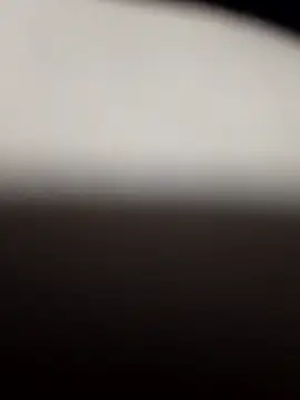 JairElGrillo online show from November 2025 12:42:02 AM