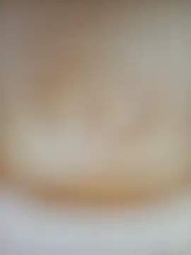 JACKBERK online show from March 2025 07:15:02 PM