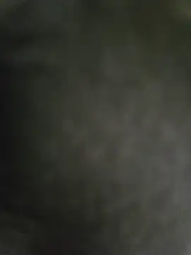 hmlu online show from February 2025 02:59:01 AM