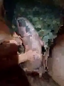 Luis katya online show from February 2026 01:32:01 AM