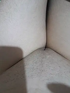 yakot7 online show from March 2026 12:17:02 AM