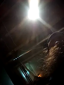 SirJonBradley online show from September 2025 10:49:02 AM