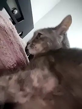 mialorents online show from November 2025 06:52:01 PM