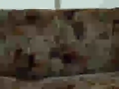 Snapshot of priya_patel chatting on September 2025 07:19:01 AM priya patel online show from September 2025 07:19:01 AM