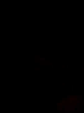 Snapshot of Ricopalote22 chatting on September 2025 09:16:02 PM Ricopalote22 online show from September 2025 09:16:02 PM