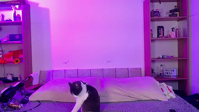 Soy mangx online show from January 2026 03:00:02 AM