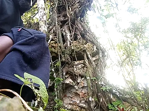 rasvinchi online show from March 2026 11:54:02 AM