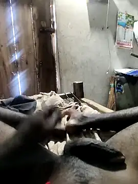 PolarFriend0 online show from February 2026 08:22:02 AM