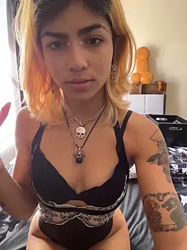 Harley cams online show from January 2026 04:22:02 PM