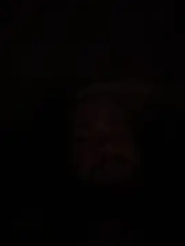 Bear2323 online show from May 2026 04:07:01 AM
