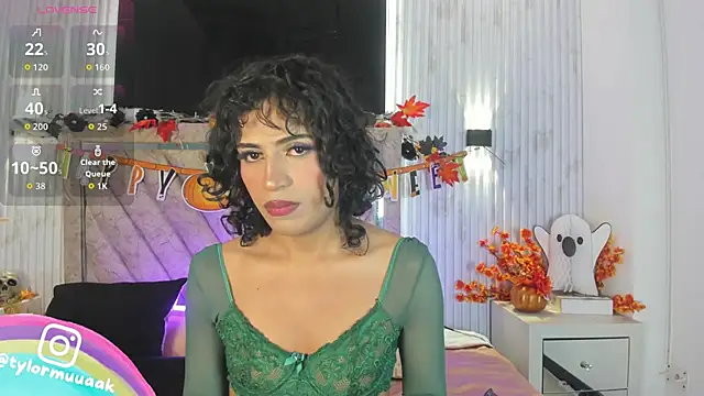 Taylor Harveey online show from November 2025 08:00:01 PM