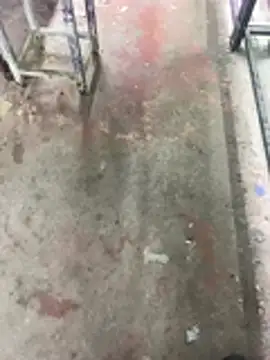 giyasbvnghkgkfk online show from April 2026 11:13:01 AM