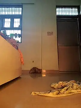 Desi Bhabi 01 online show from February 2026 09:52:02 AM