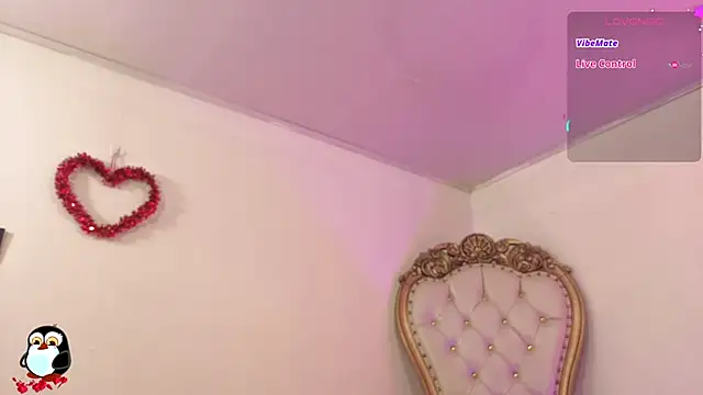 saaya tay online show from November 2025 03:17:02 AM