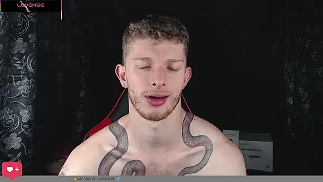 andrewxbi online show from February 2026 01:20:02 PM