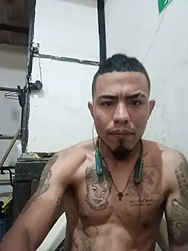 Trigongo online show from July 2026 02:43:01 PM