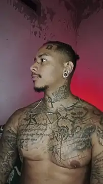 Snapshot of David_tatto1 chatting on February 2026 03:44:01 AM David tatto1 online show from February 2026 03:44:01 AM