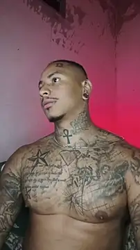 Snapshot of David_tatto1 chatting on February 2026 03:58:01 AM David tatto1 online show from February 2026 03:58:01 AM